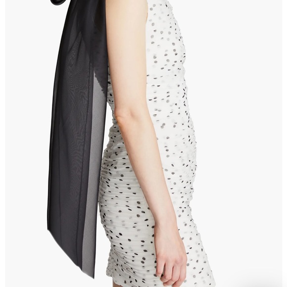 Annelise Halston, polkadot dress - Picture 9 of 15